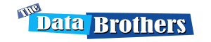 Logo for The Data Brothers