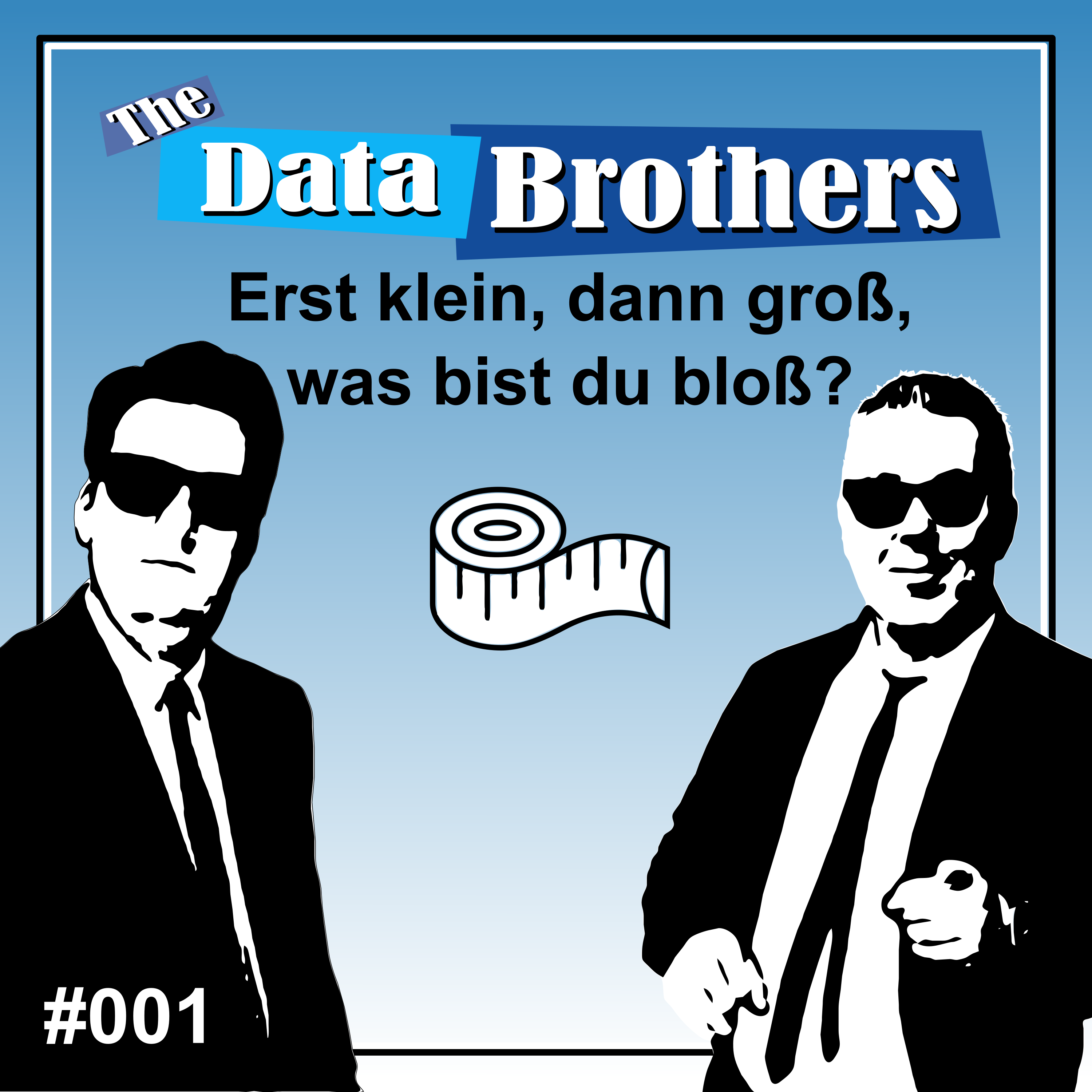 The Data Brothers