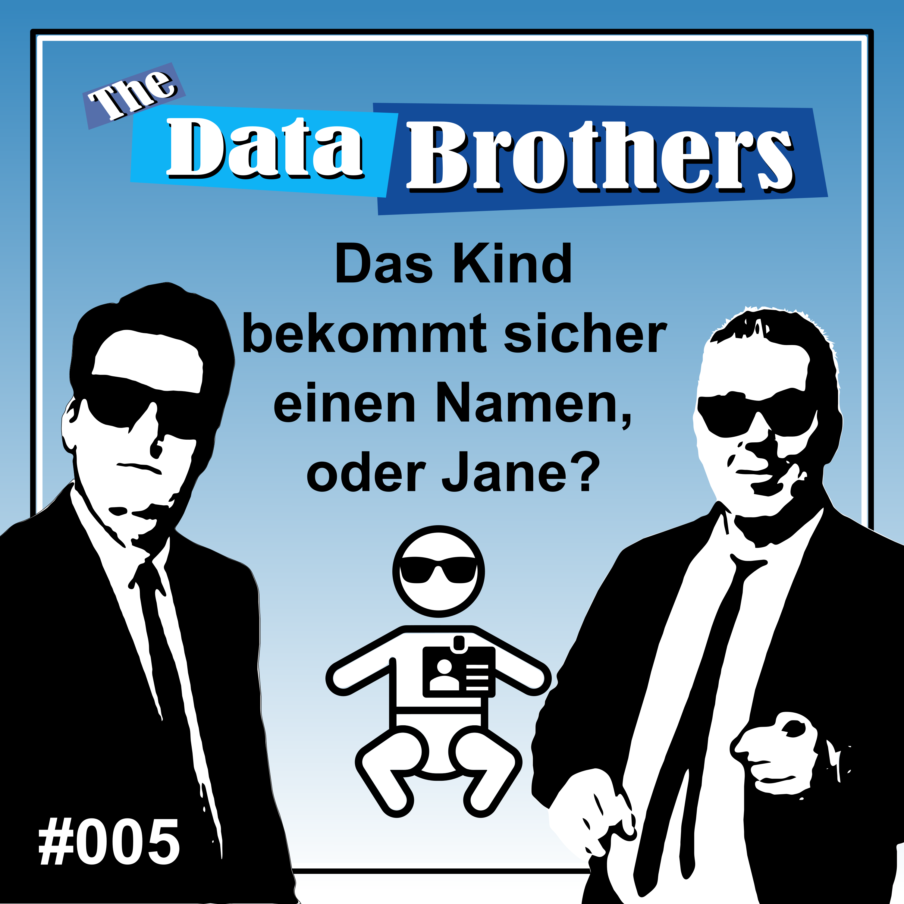 The Data Brothers