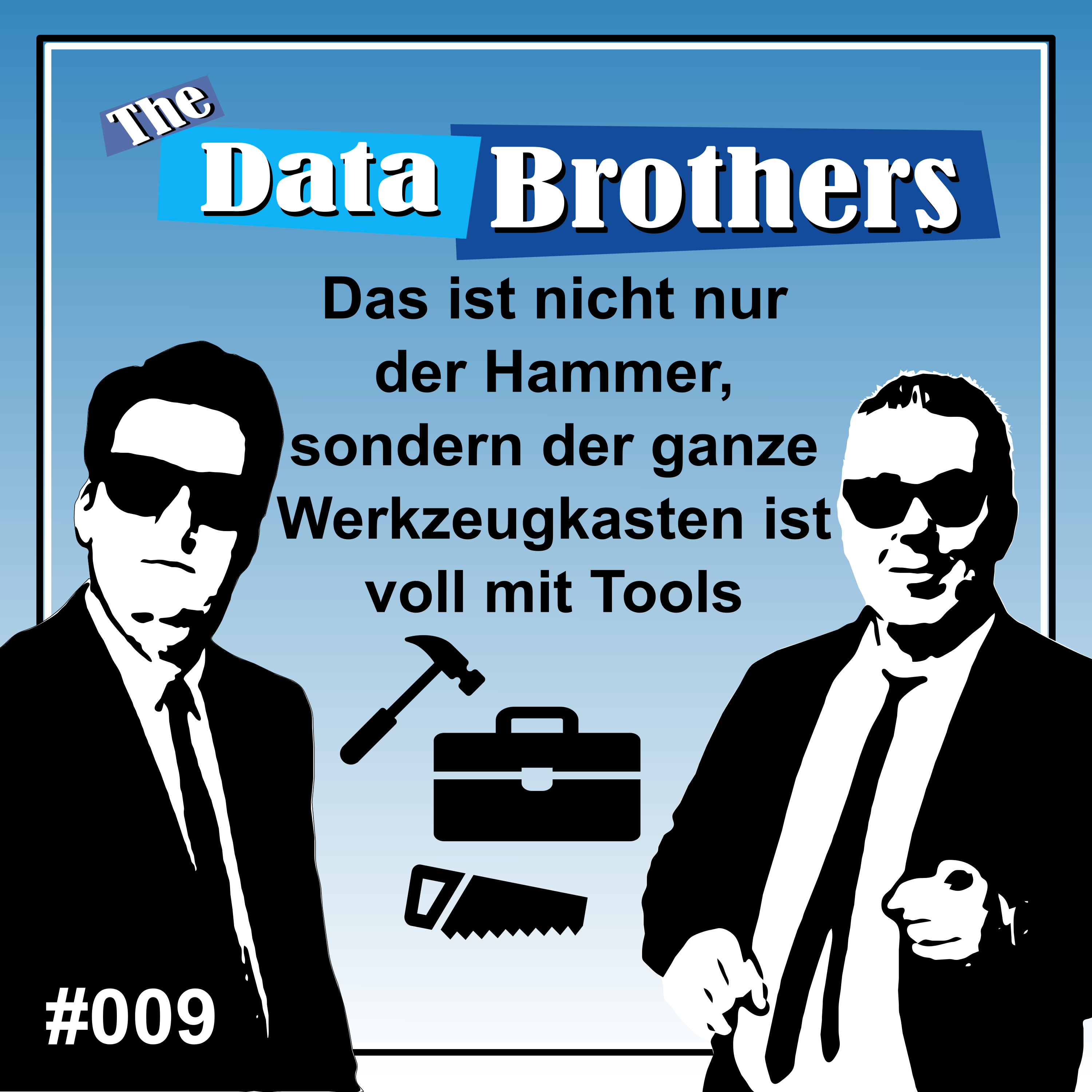 The Data Brothers