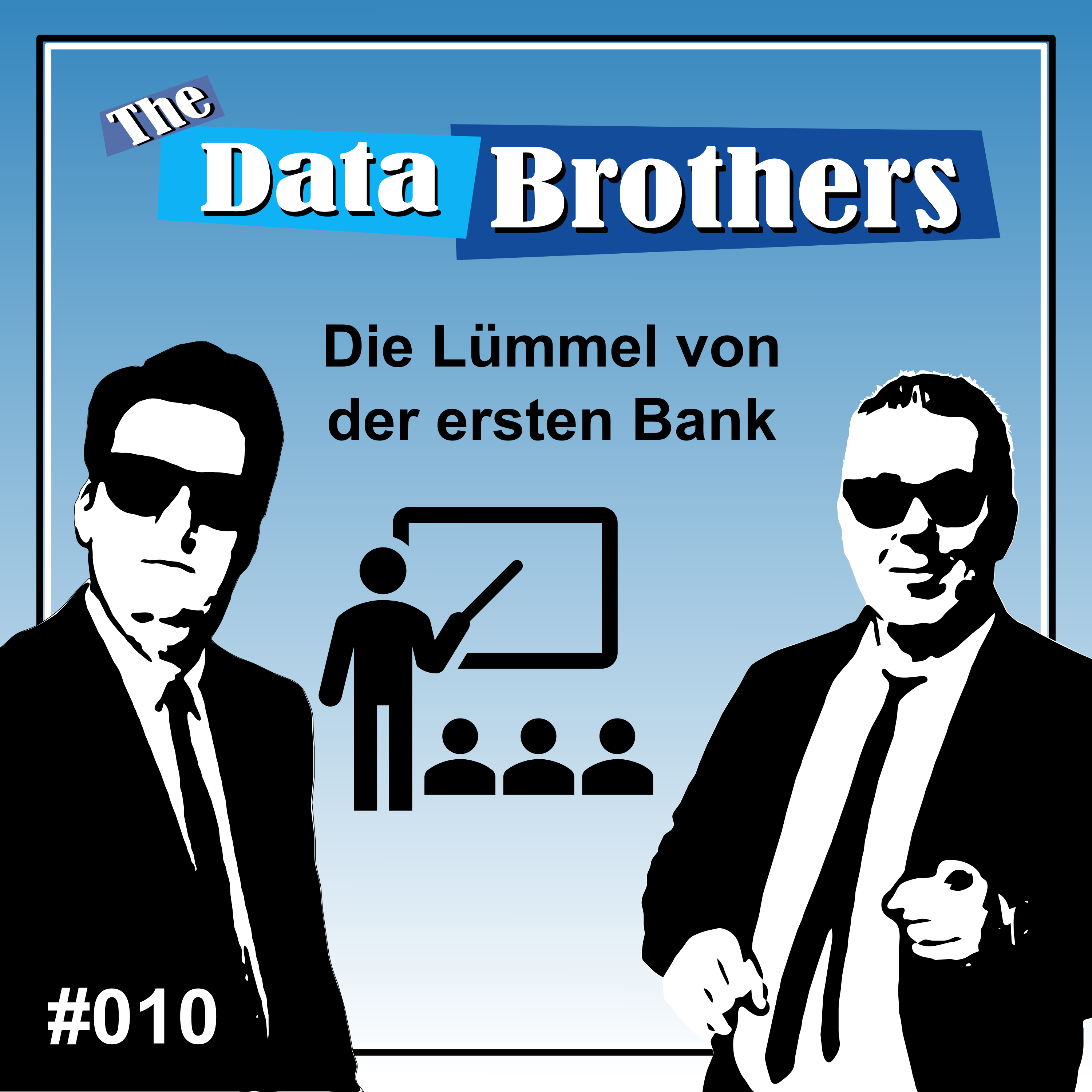 The Data Brothers