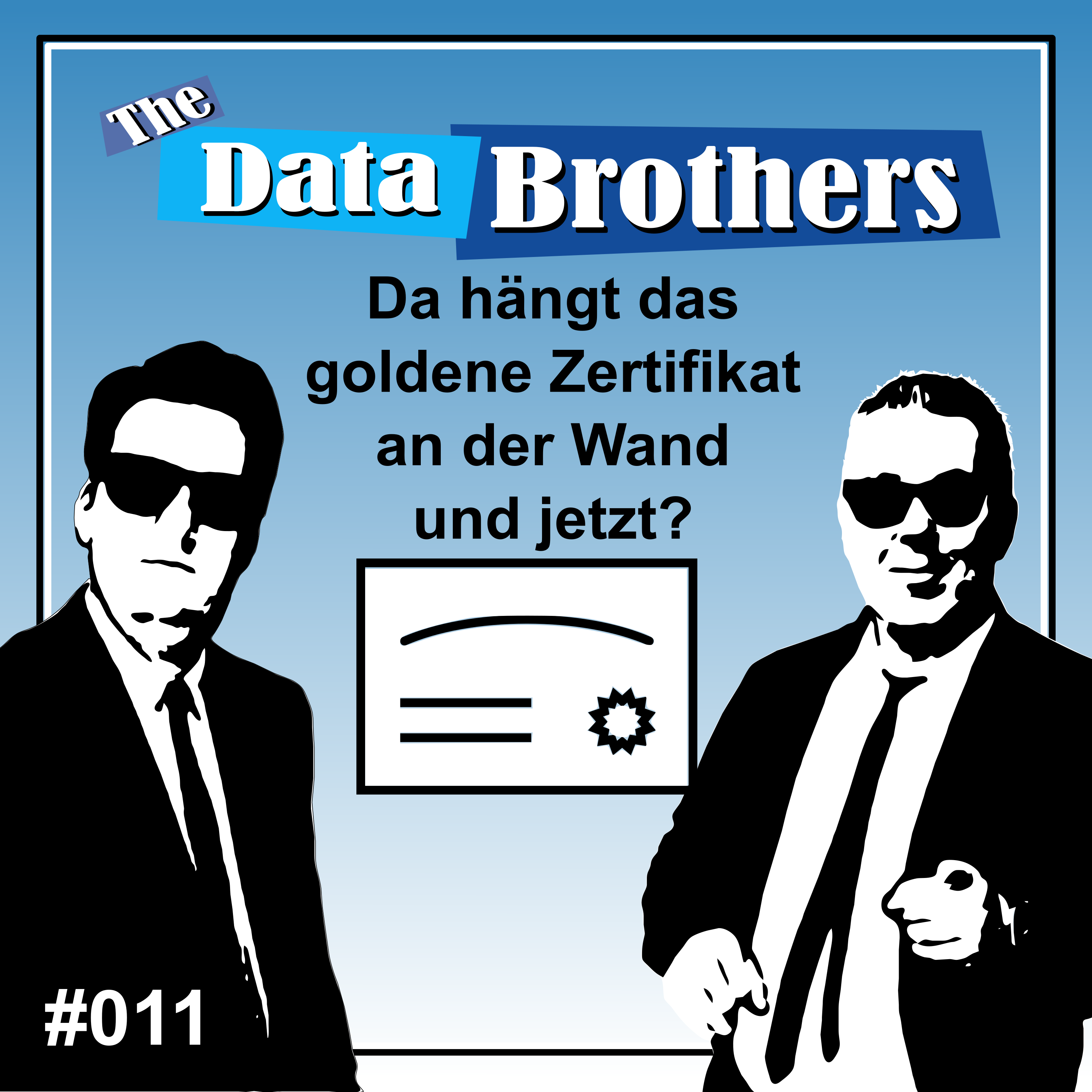 The Data Brothers