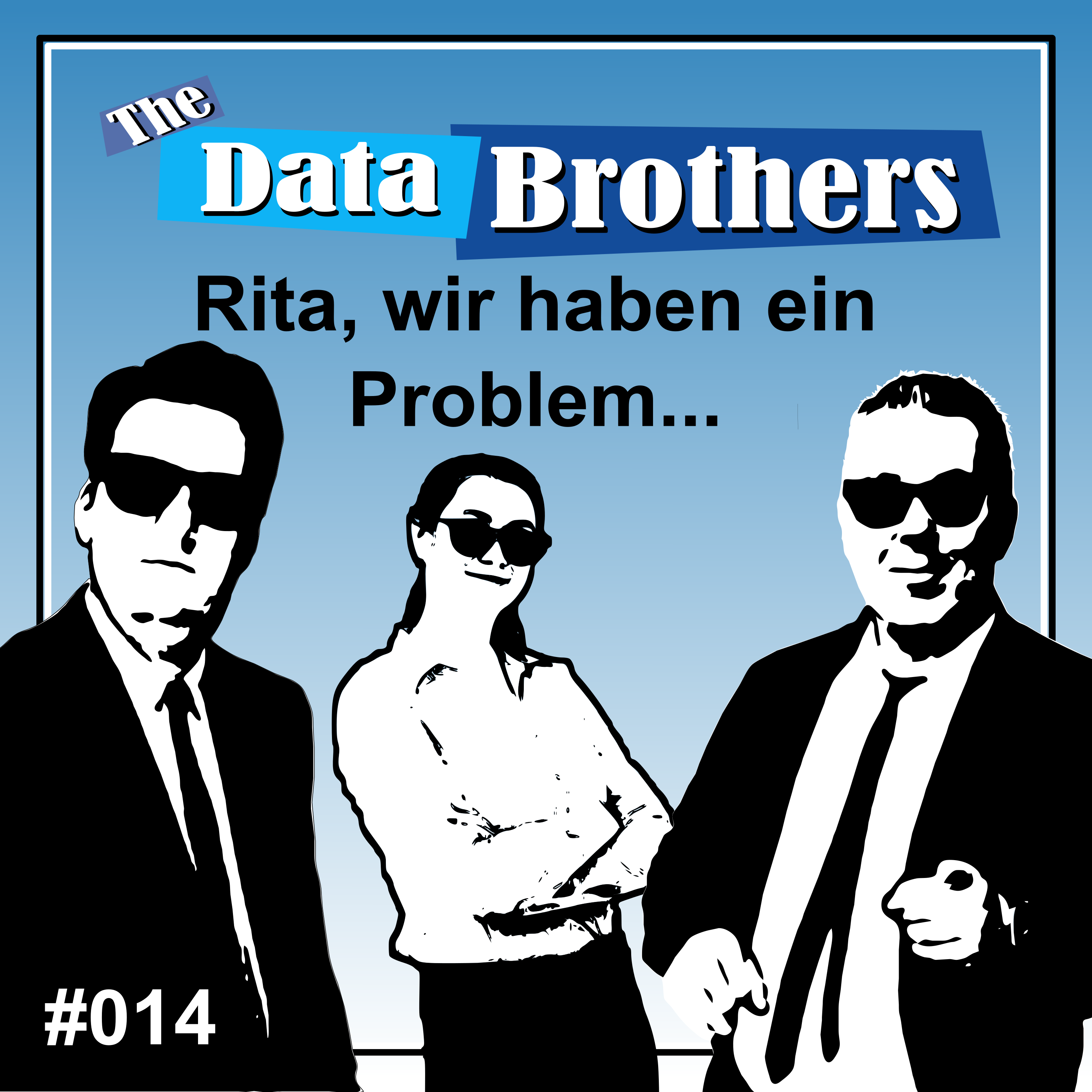 The Data Brothers