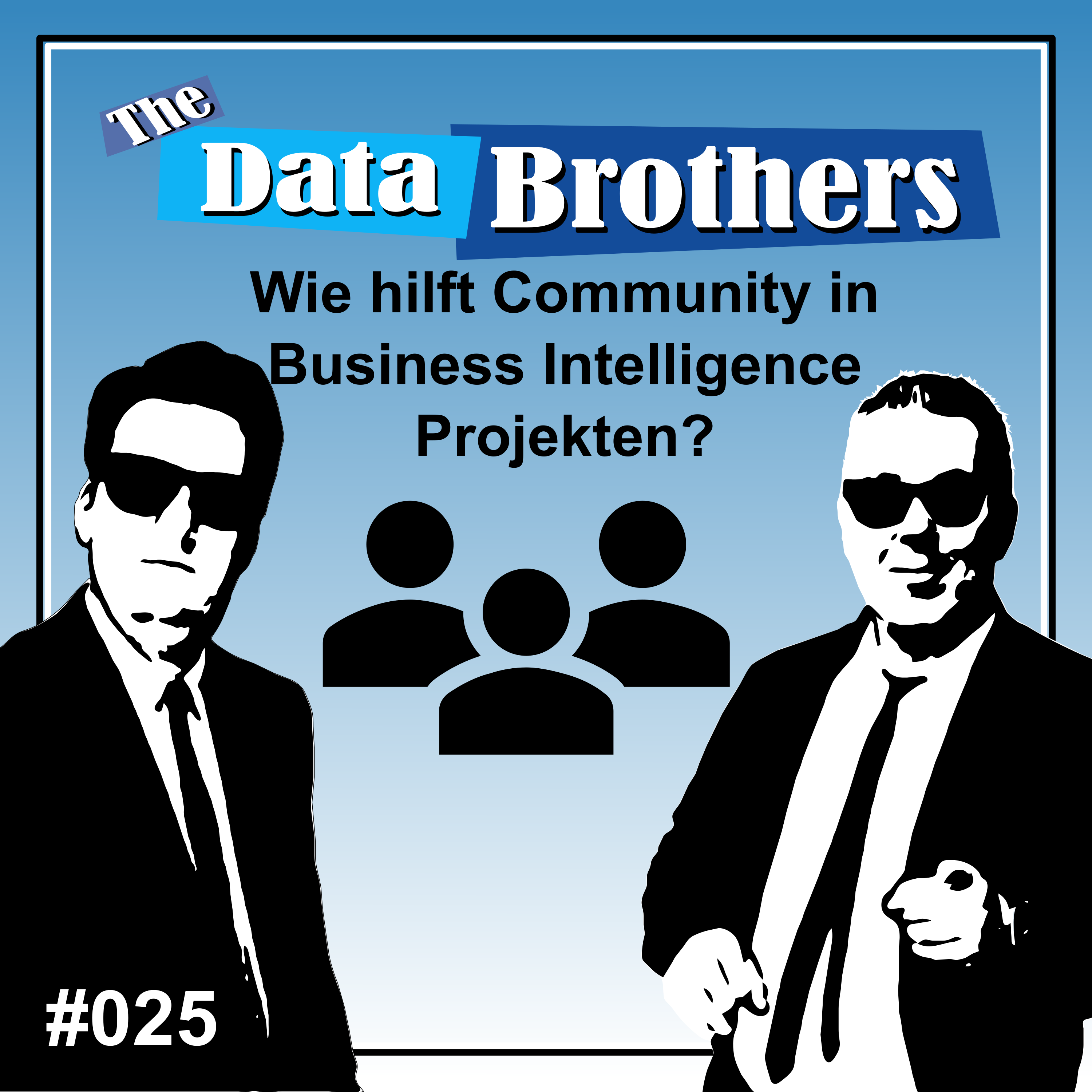 The Data Brothers