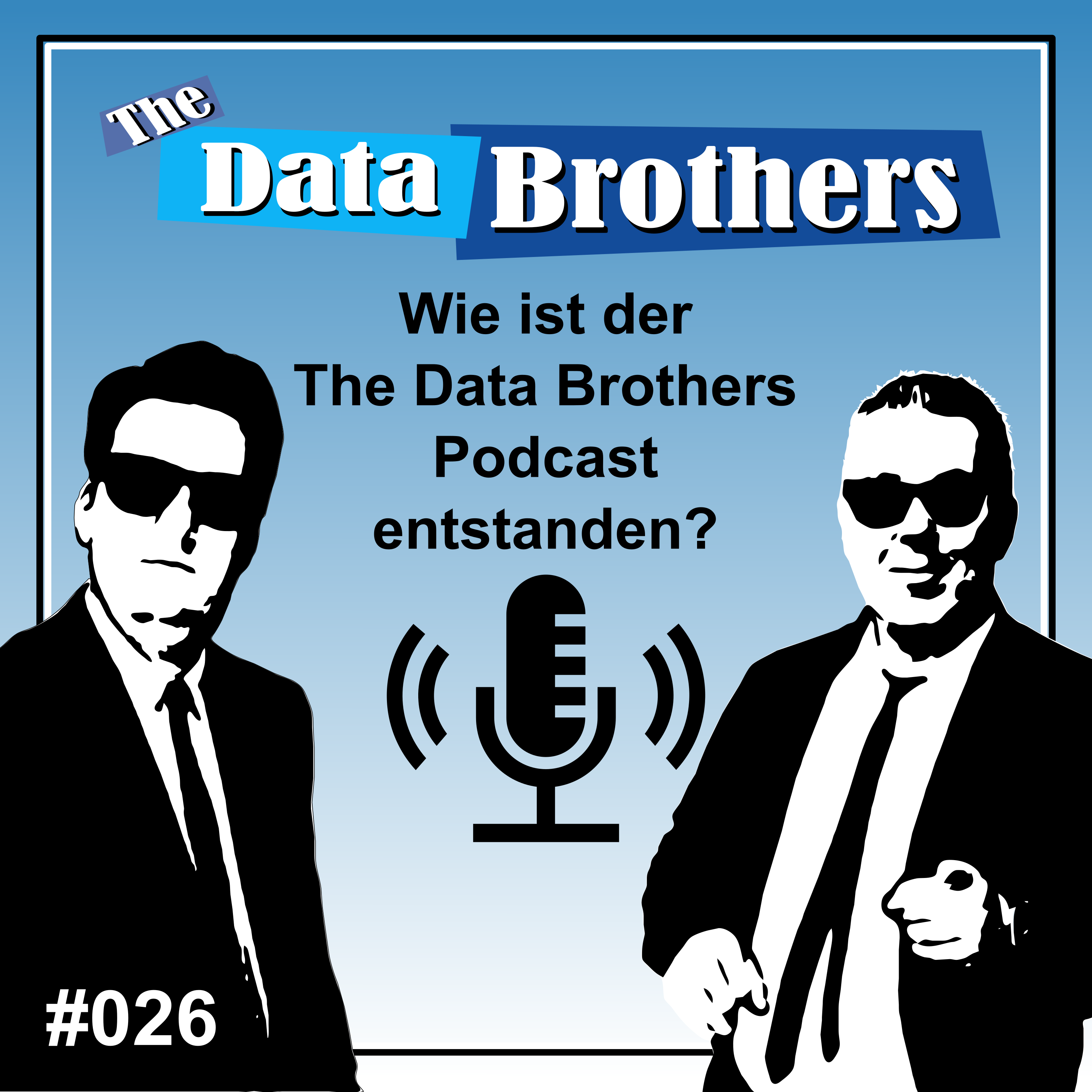 The Data Brothers