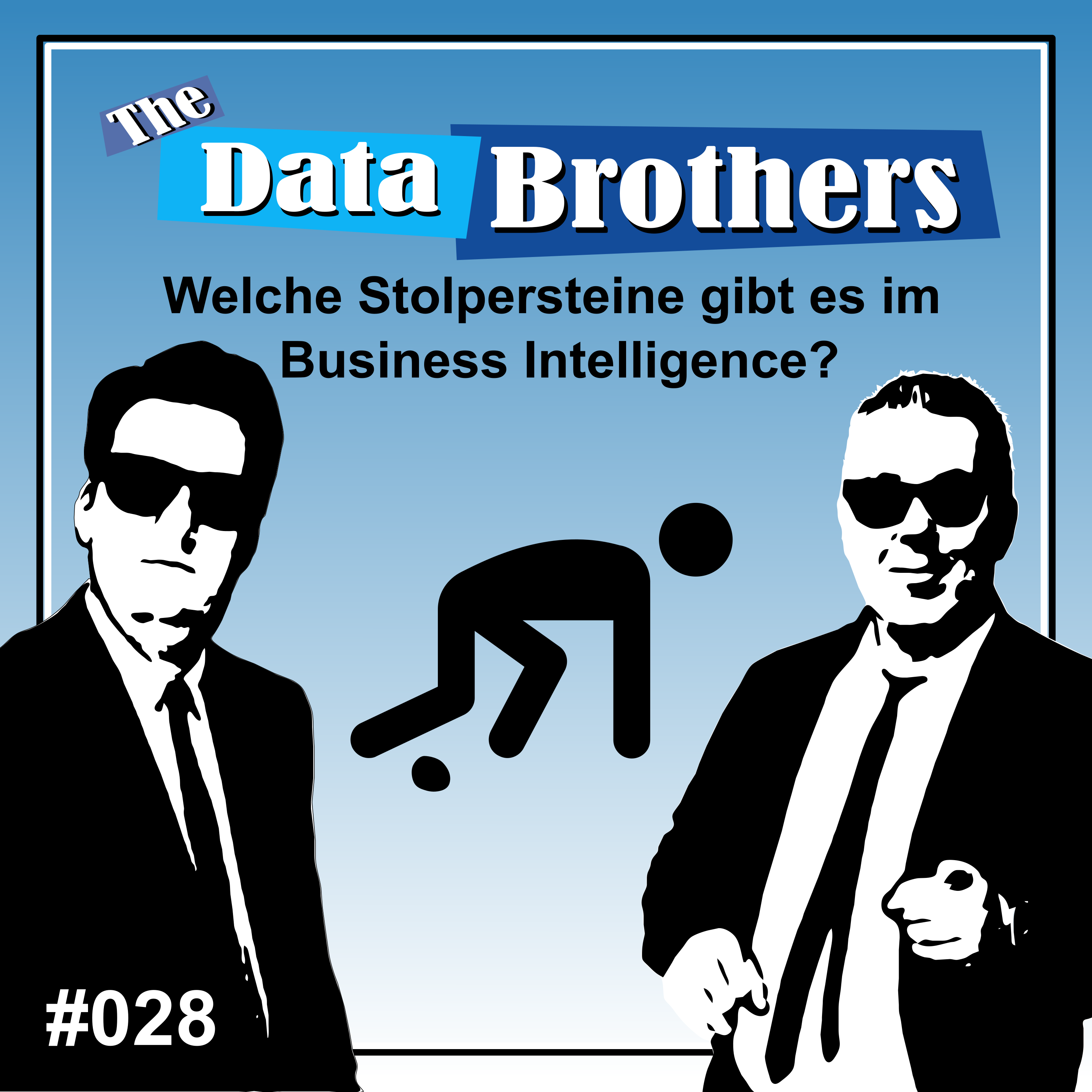 The Data Brothers