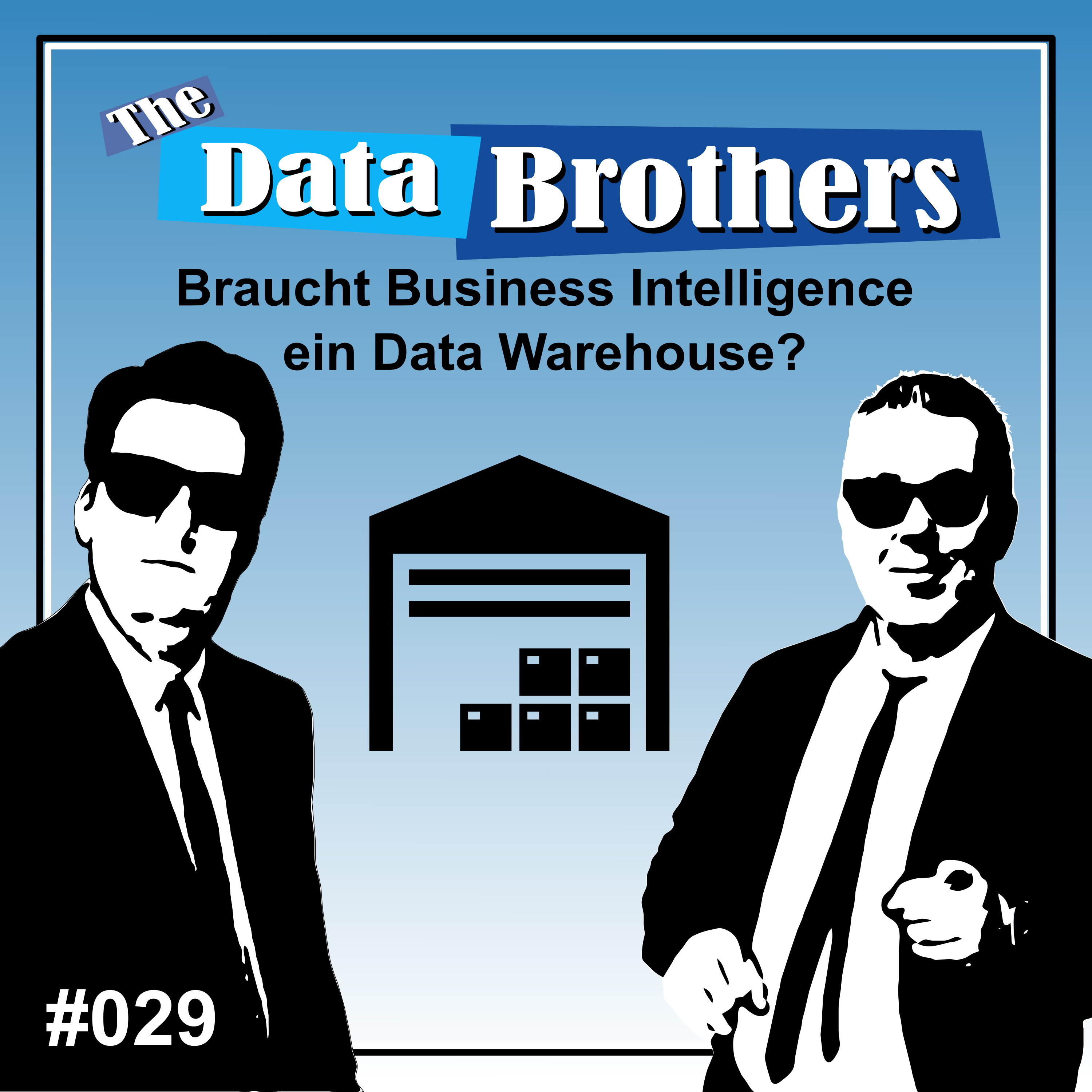The Data Brothers