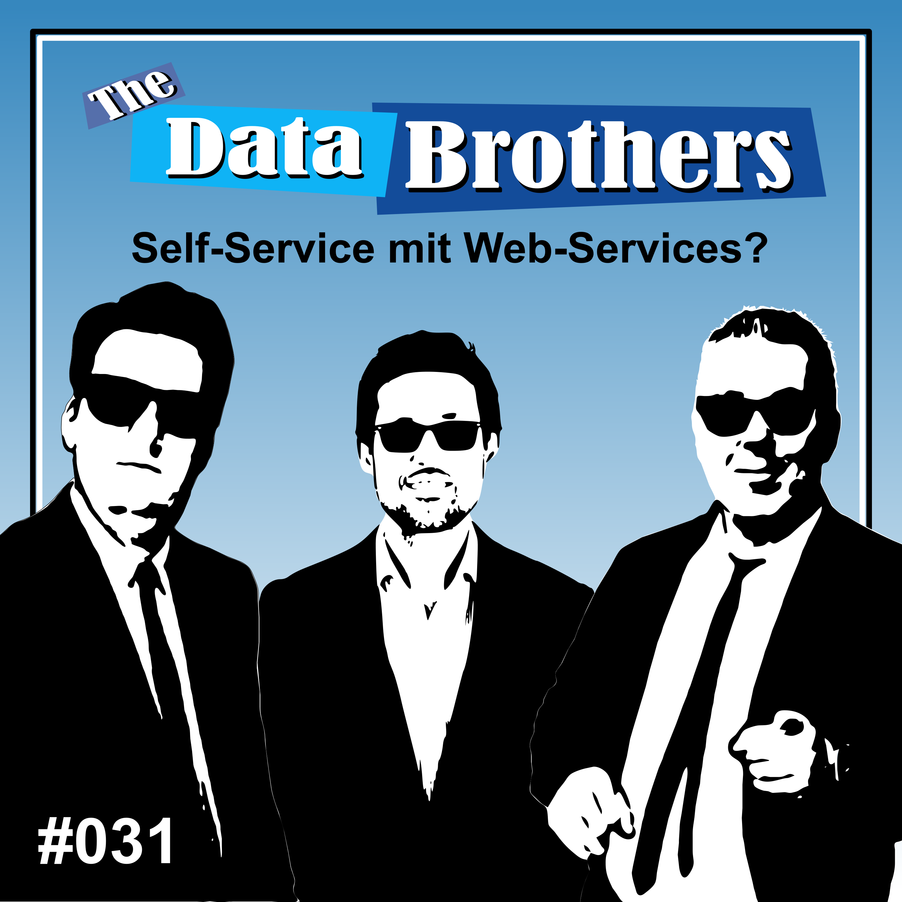 The Data Brothers