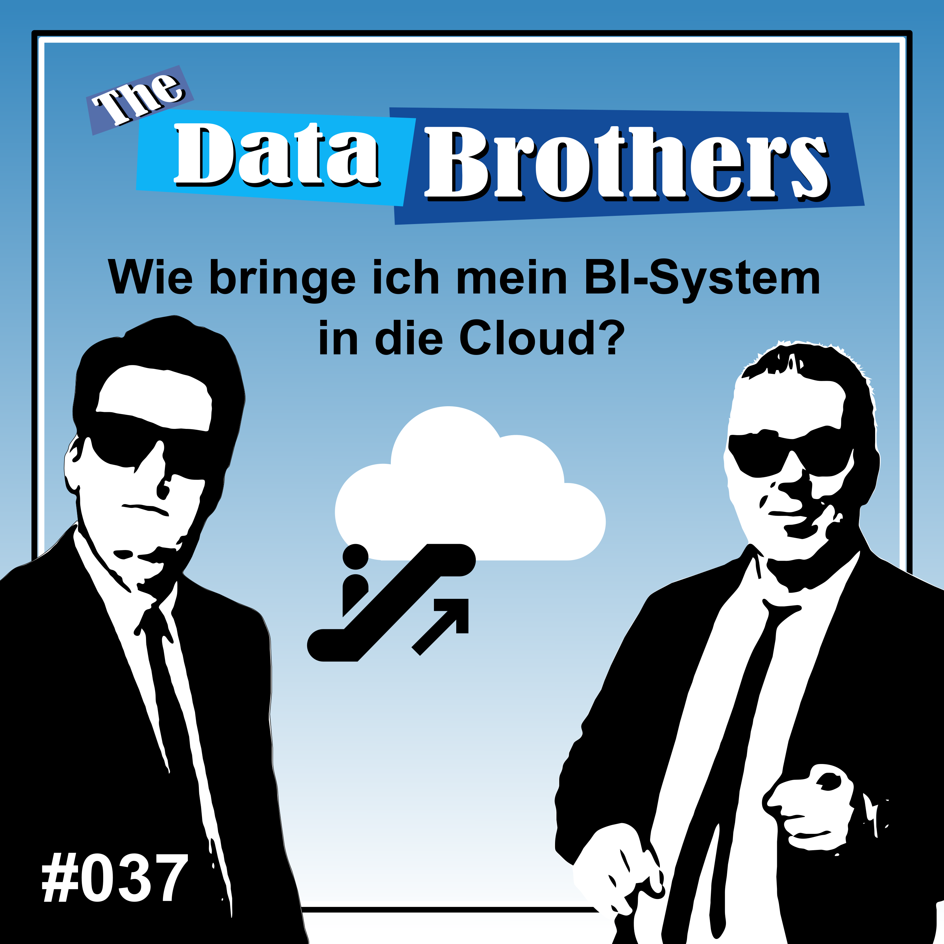 The Data Brothers