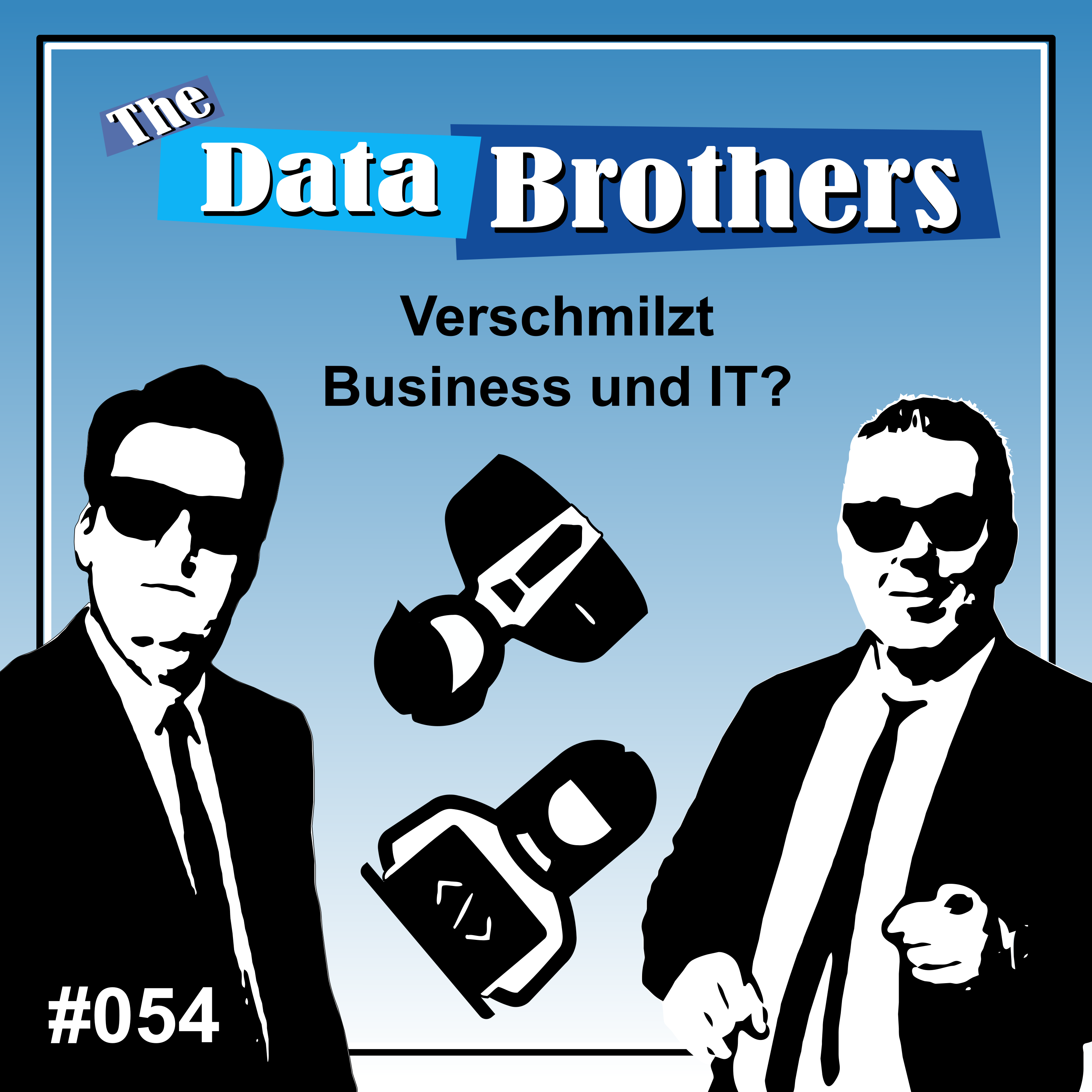 The Data Brothers