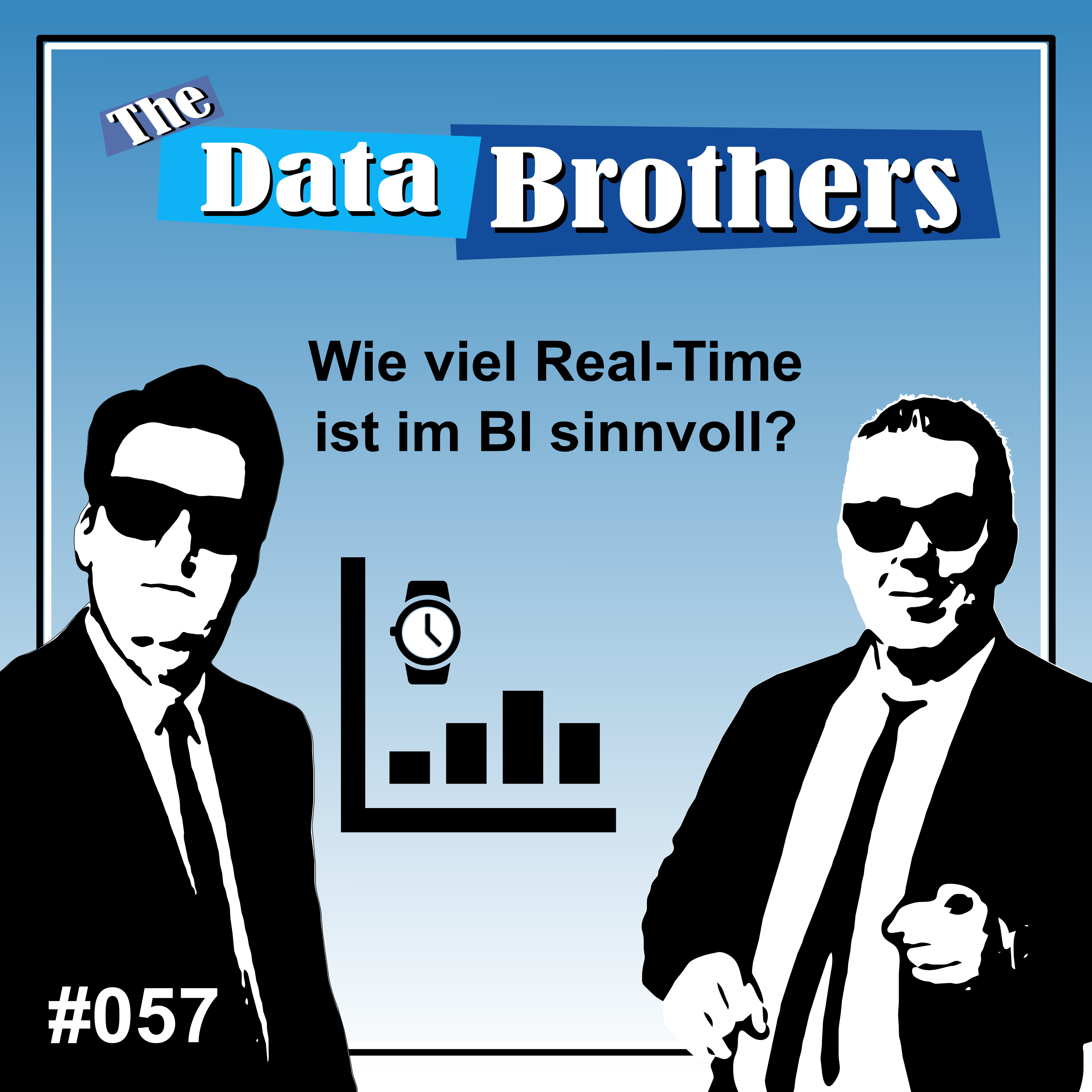 The Data Brothers