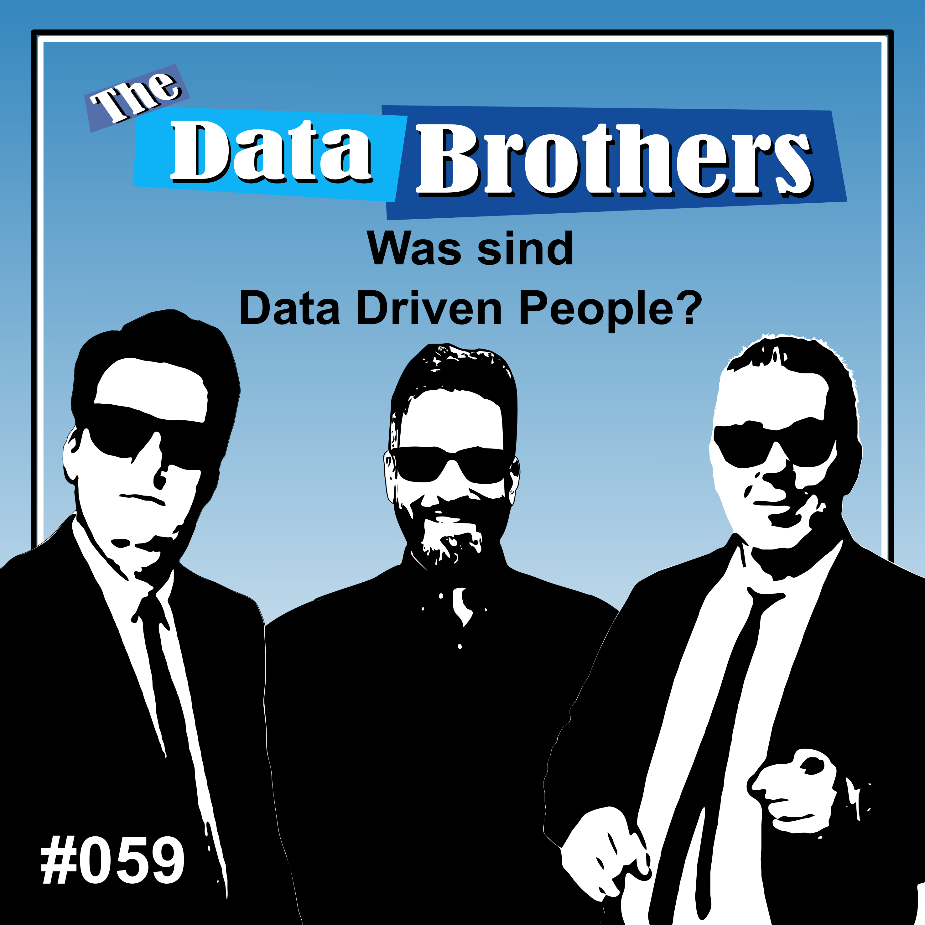 The Data Brothers