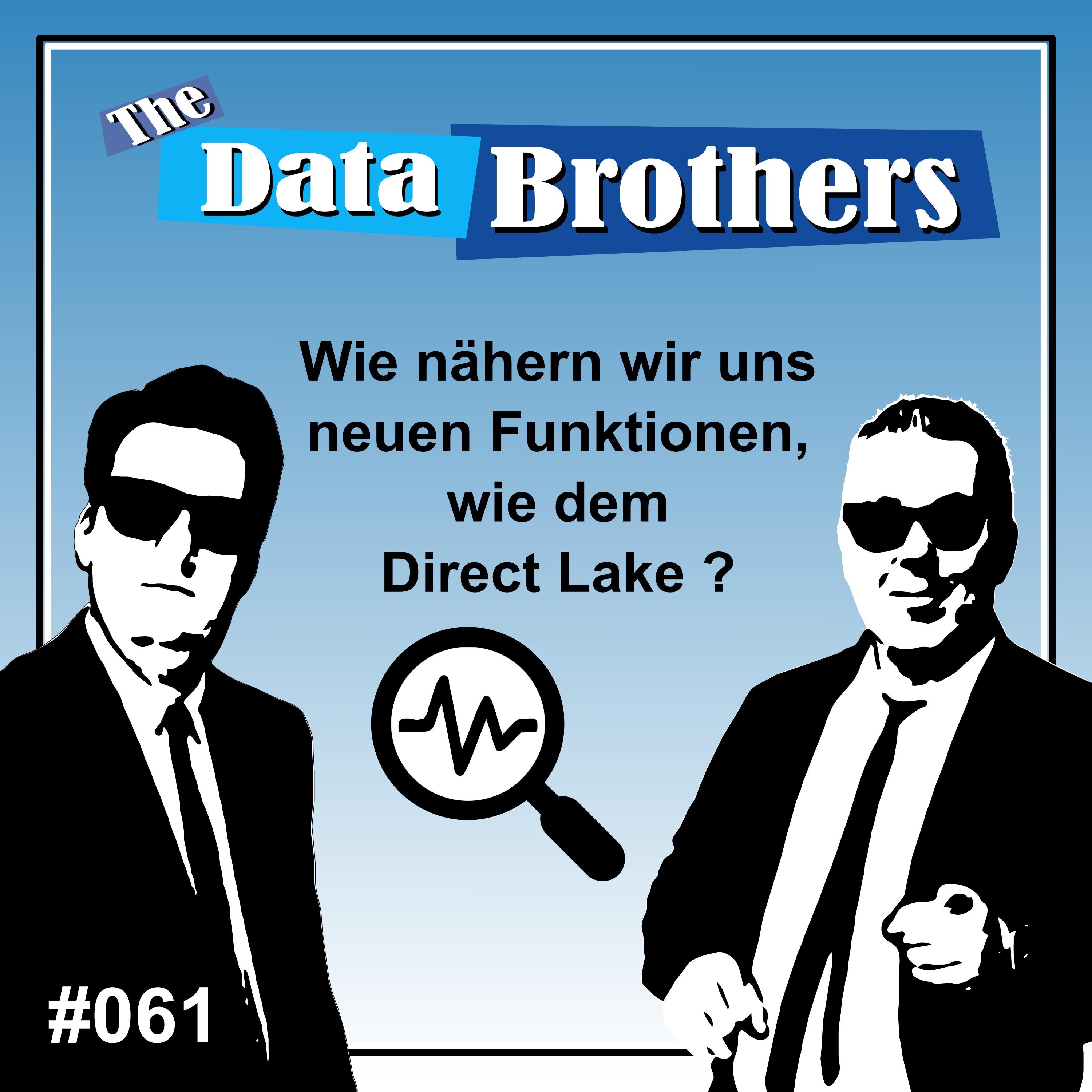 The Data Brothers