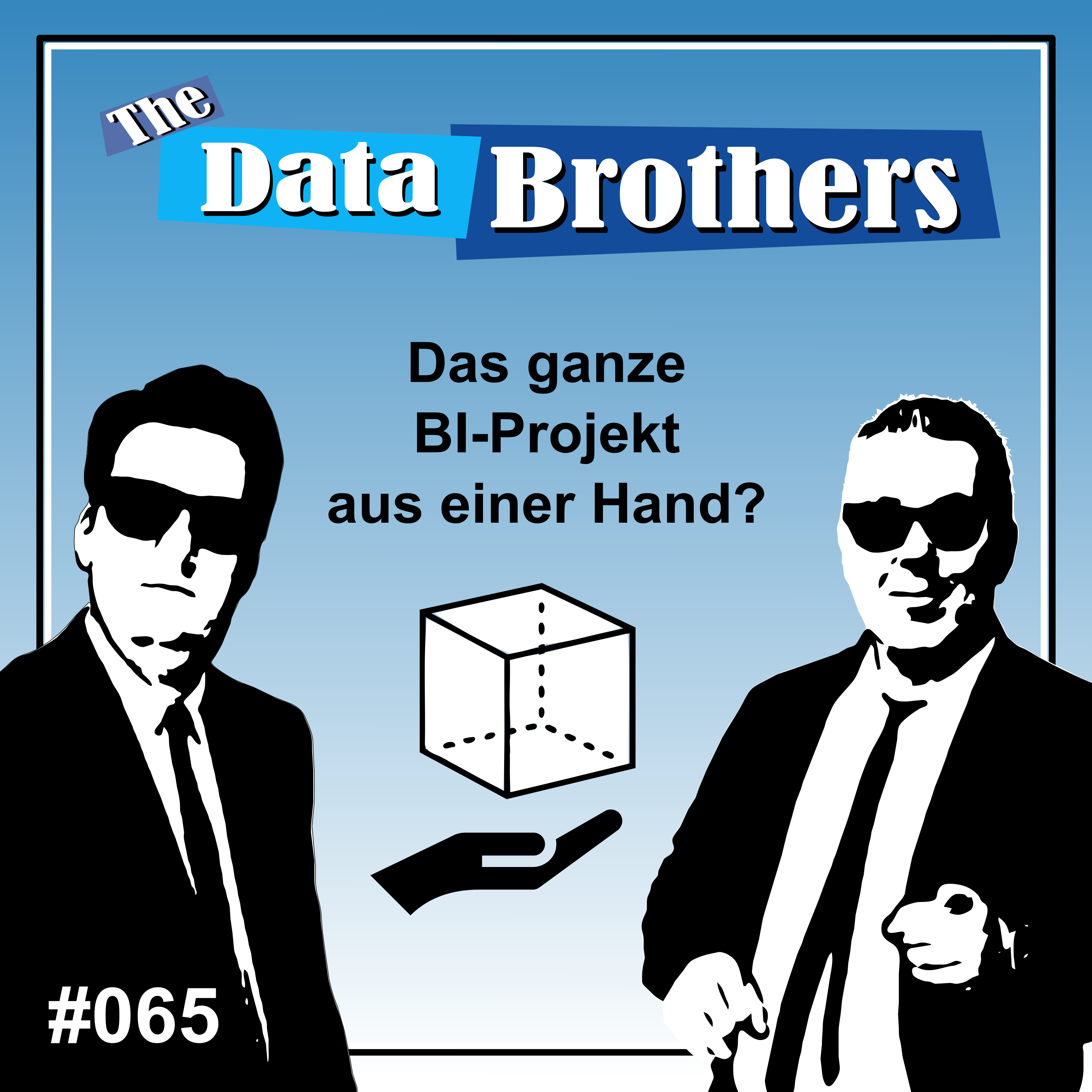 The Data Brothers