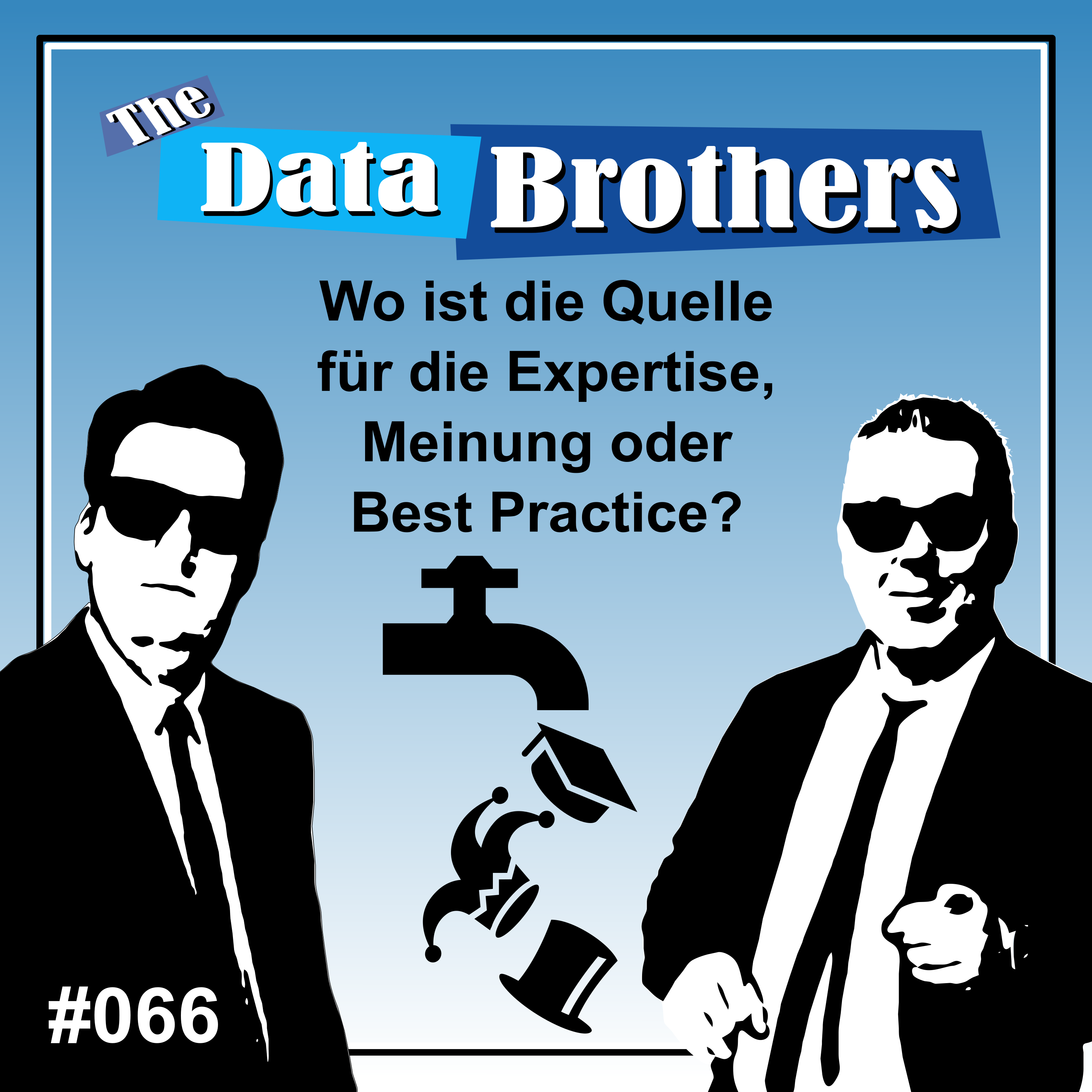 The Data Brothers
