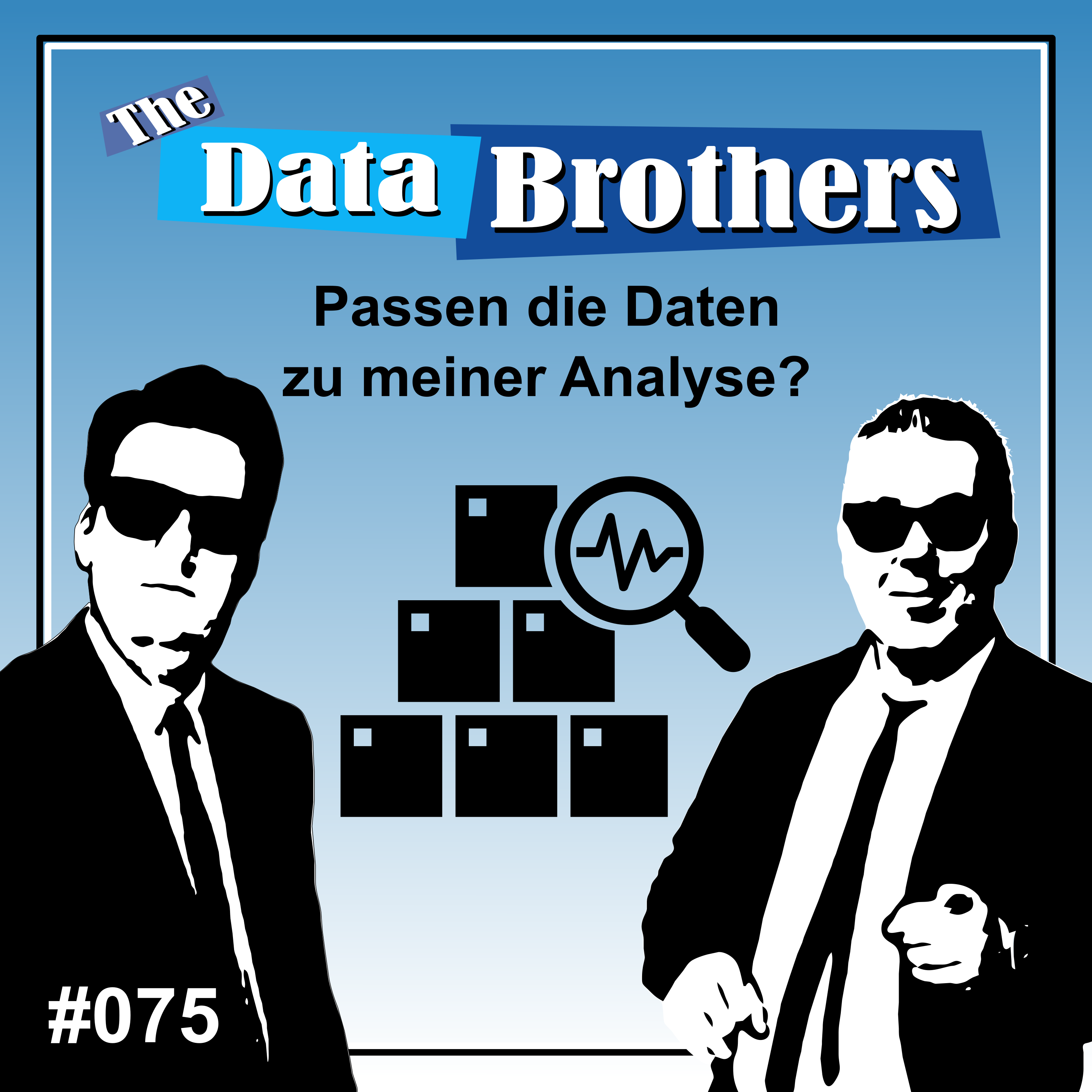 The Data Brothers