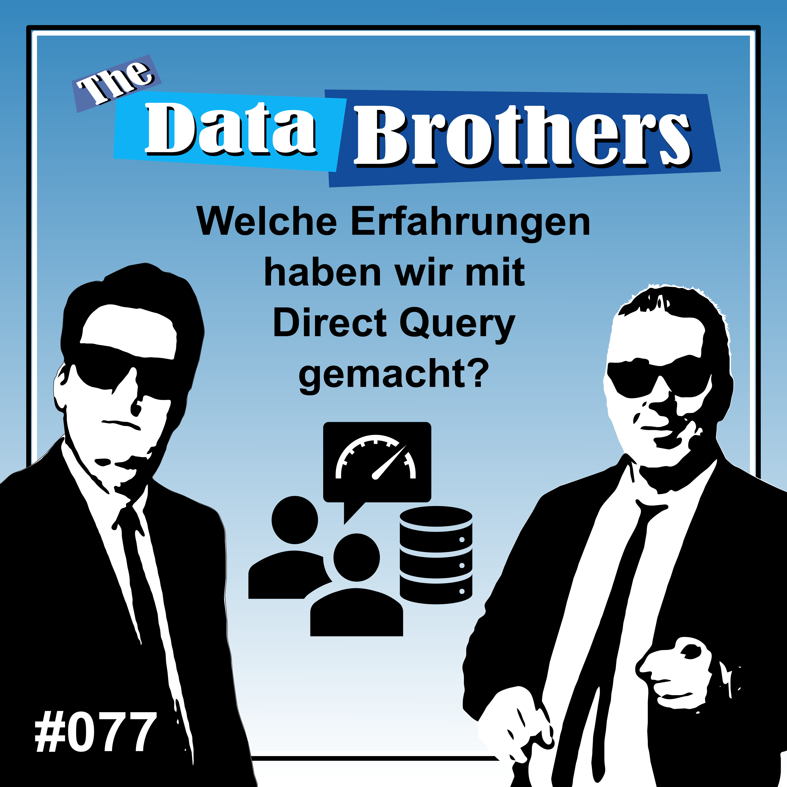 The Data Brothers