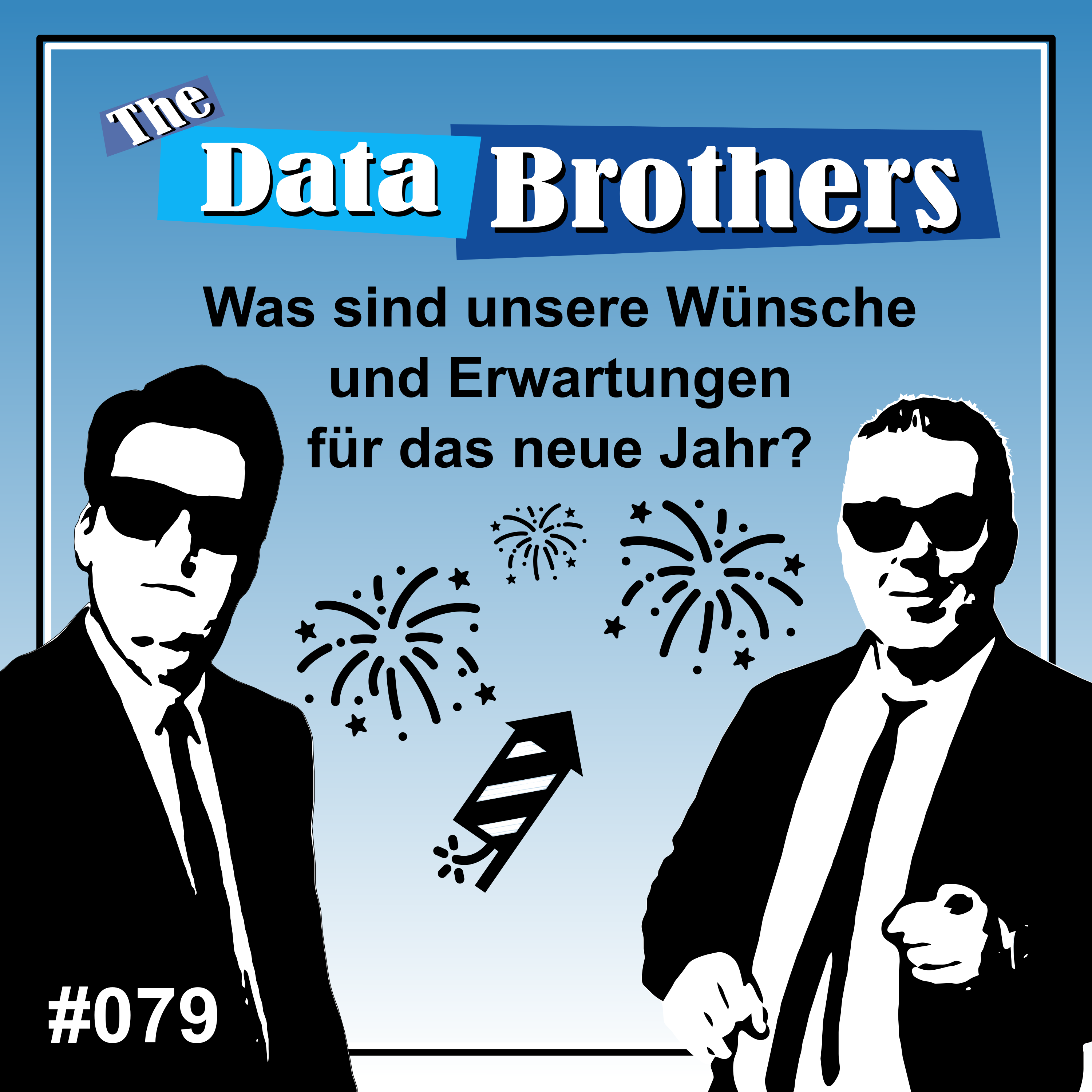 The Data Brothers