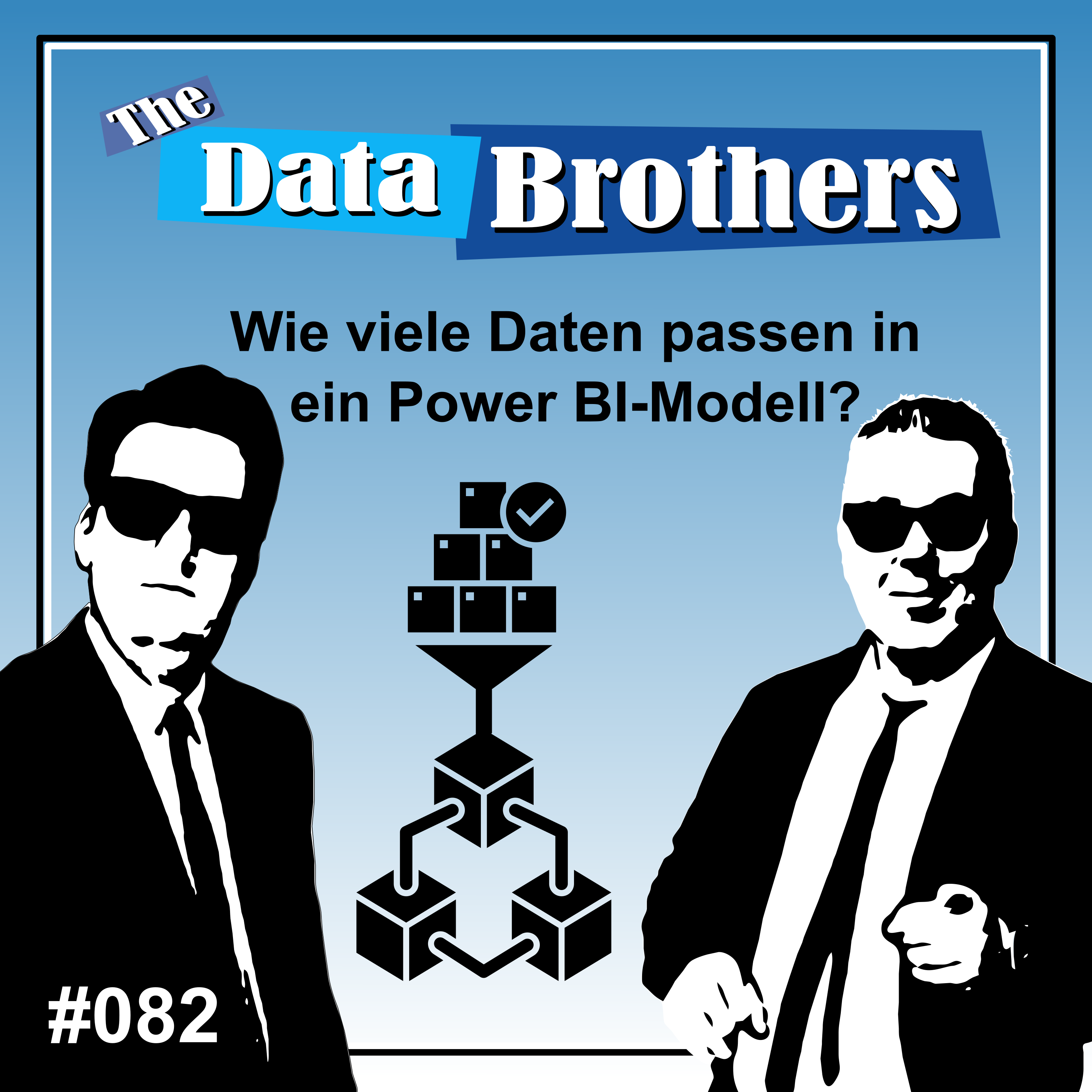 The Data Brothers