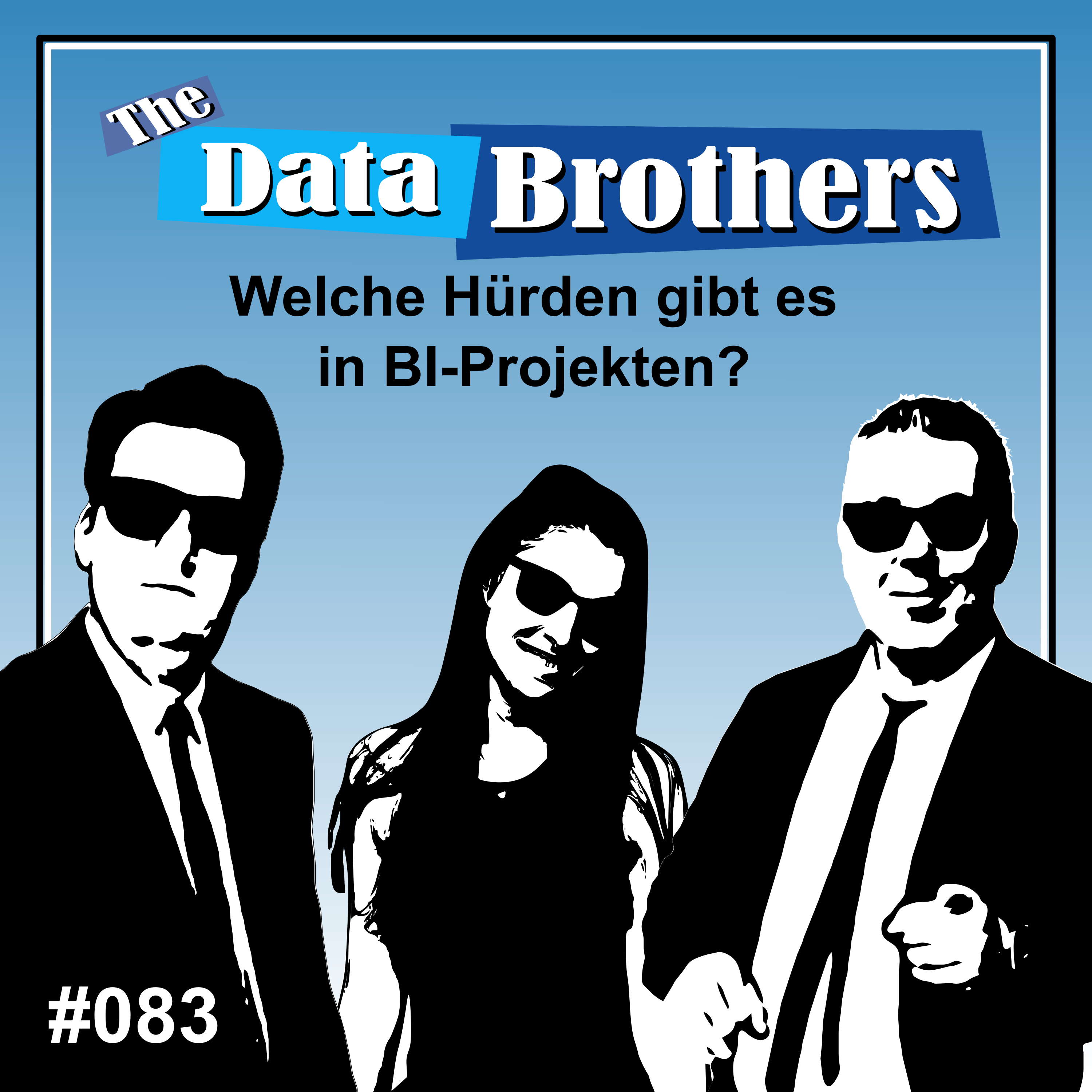 The Data Brothers