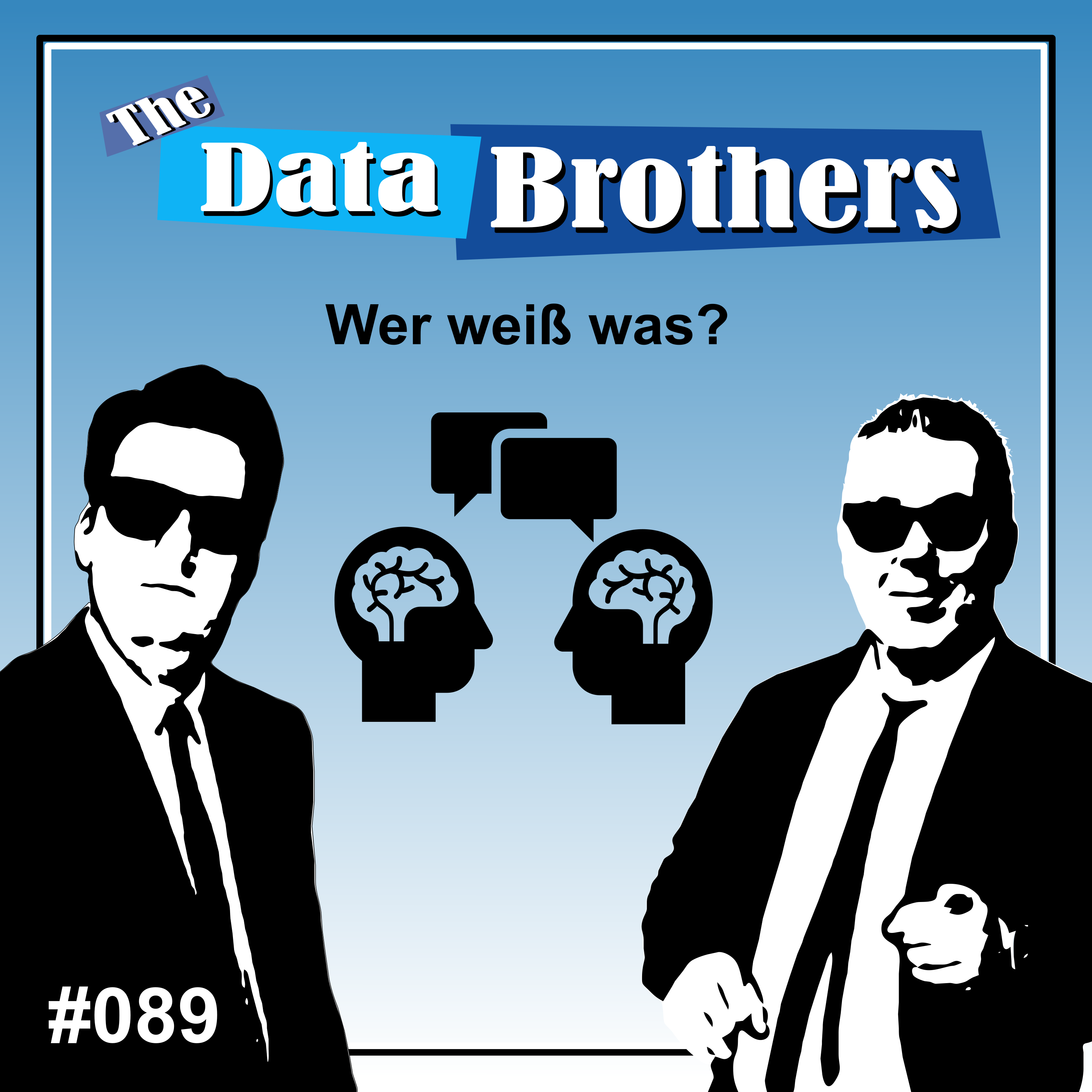The Data Brothers